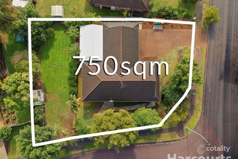 Property photo of 12 Honey Oak Drive Toronto NSW 2283