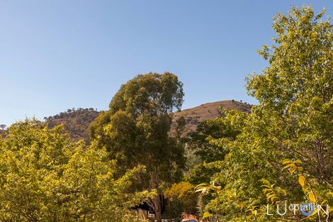 Property photo of 56 Vonwiller Crescent Theodore ACT 2905