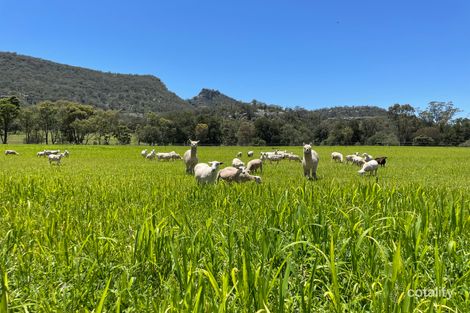 21 Giants Creek Rd, Giants Creek, NSW 2328