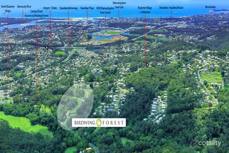 2 Birdwing Forest Pl, Buderim, QLD 4556