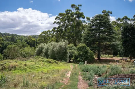 Property photo of 159 Monbulk-Seville Road Silvan VIC 3795