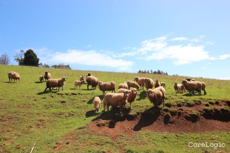 Property photo of 60 Kindred Road Forth TAS 7310
