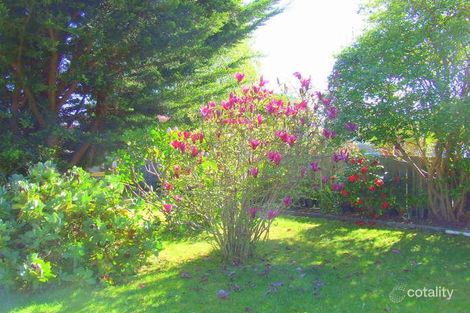 Property photo of 60 Medeas Cove Esplanade St Helens TAS 7216