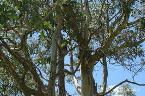 Property photo of 1 Tickle Lane Tuckurimba NSW 2480