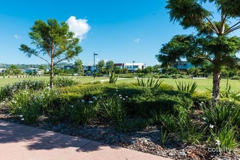 Property photo of 12 Osborne Circuit Maroochydore QLD 4558