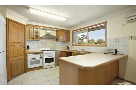 Property photo of 51 Benkel Avenue Cheltenham VIC 3192
