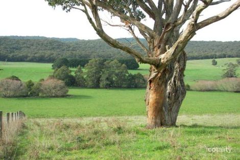 135 Yaugher Rd, Forrest, VIC 3236