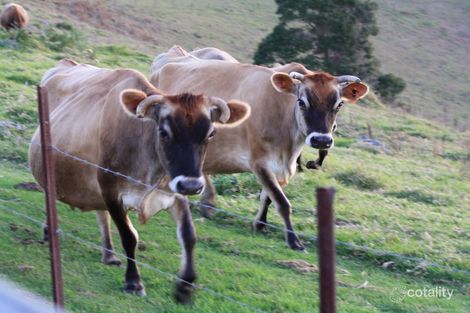 Lot 69/14-126 Sellin Rd, Mount Mee, QLD 4521