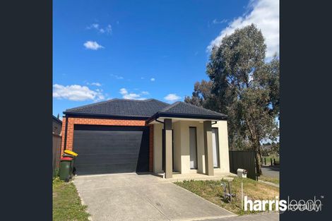2 Watergum Ave, Craigieburn, VIC 3064