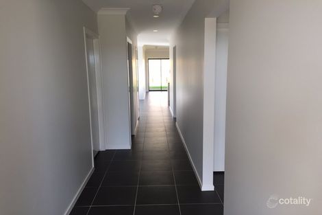 Property photo of 44 Elizabeth McRae Avenue Minto NSW 2566