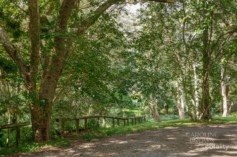 Property photo of 42 Barnett Road Bardon QLD 4065