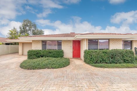 Property photo of 31C Kimberley Street Belmont WA 6104