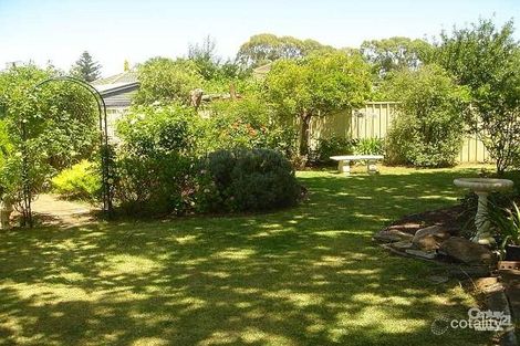 Property photo of 12 Meadow Avenue Campbelltown SA 5074