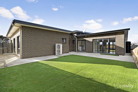 Property photo of 33 Lucy Beeton Crescent Bonner ACT 2914