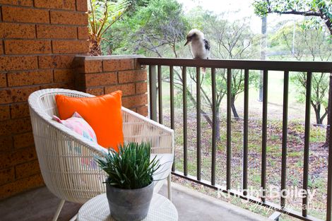 Property photo of 44/17-19 Busaco Road Marsfield NSW 2122
