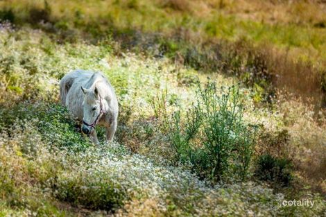 Property photo of 20 Fuerte Drive Valla NSW 2448