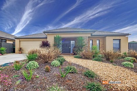 31 Penrose Prom, Tarneit, VIC 3029