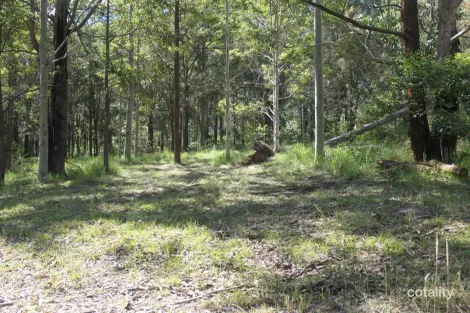 Lot 4 Long Gully Rd, Drake, NSW 2469