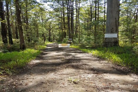 118 Jacobson Rd, Georgica, NSW 2480