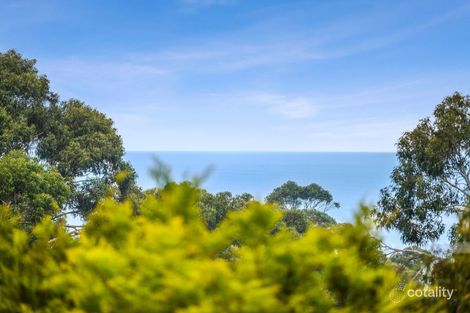 Property photo of 13A Normanby Terrace Lorne VIC 3232