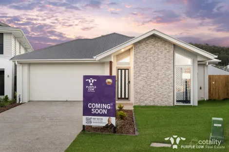 53 Torres Way, Spring Mountain, QLD 4300