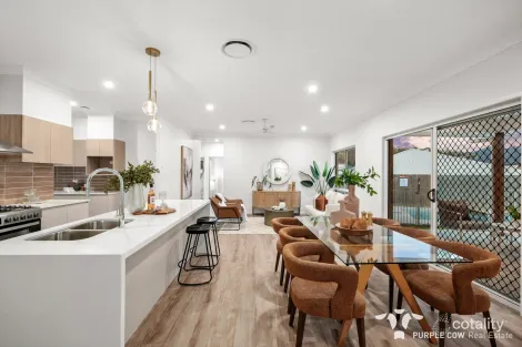 Property photo of 53 Torres Way Spring Mountain QLD 4300