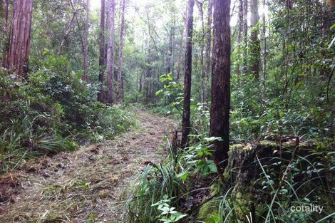 Property photo of 114 Webster Road Wondecla QLD 4887