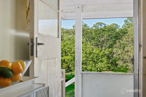 Property photo of 31 Chelford Street Alderley QLD 4051