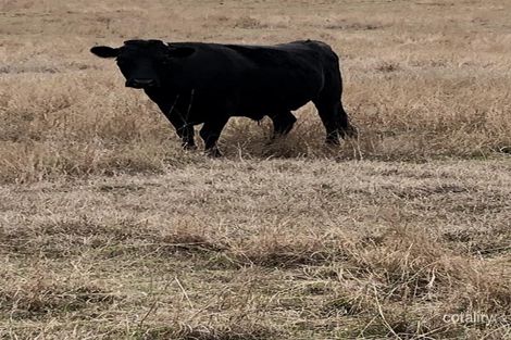 Property photo of 2 Mahoney Close Yengarie QLD 4650