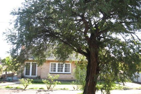 67 Dunbar Tce, Glenelg East, SA 5045