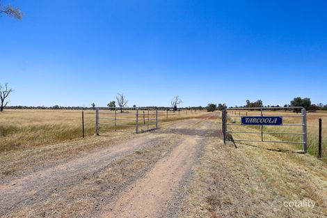 Property photo of 189 Burtons Road Orange Hill QLD 4455