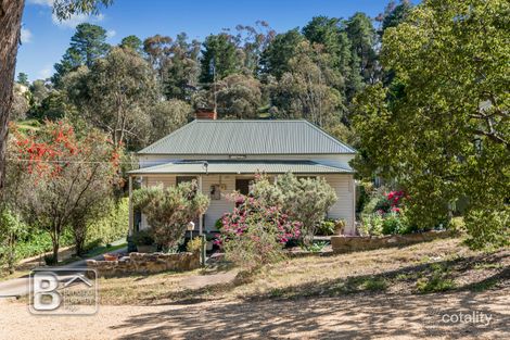 Property photo of 107 Lyttleton Street Castlemaine VIC 3450