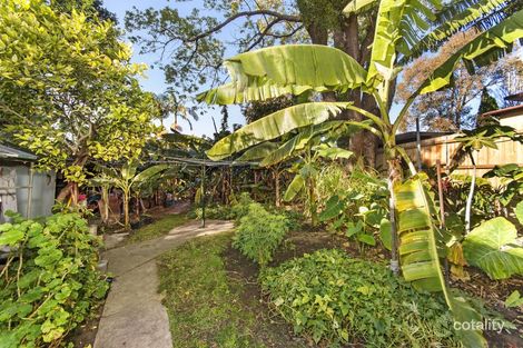 Property photo of 27 Orpington Street Ashfield NSW 2131