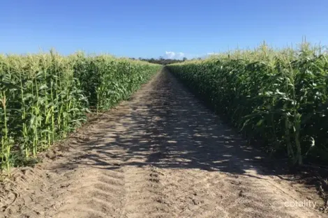 Property photo of 89 Honors Road Alloway QLD 4670