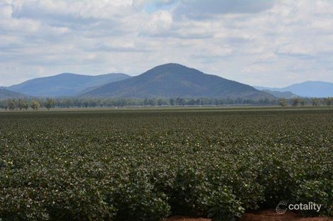 113 Kilphysic Rd, Carroll, NSW 2340