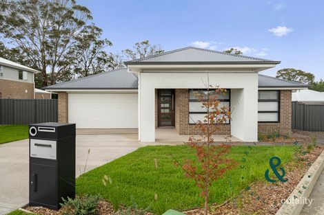 Property photo of 109 Macadamia Circuit Medowie NSW 2318