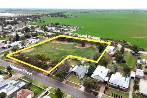69-75 Hannon St, Sea Lake, VIC 3533