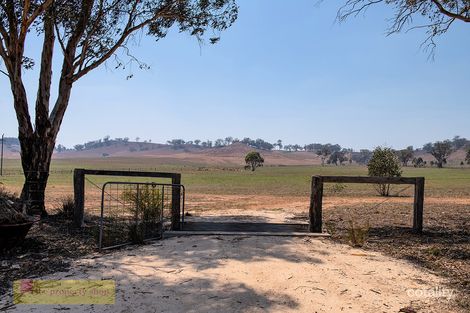 1036 Durridgere Rd, Turill, NSW 2850