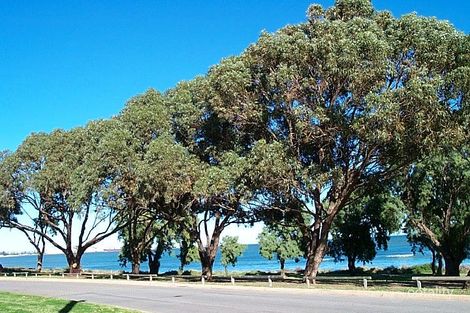 65 Kempton St, Bluff Point, WA 6530