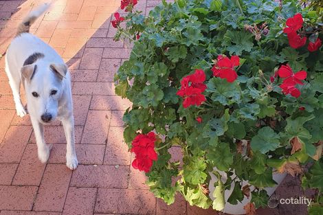 Property photo of 11 Greenock Avenue Como WA 6152