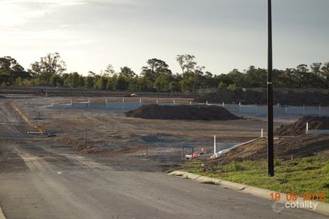 Property photo of 10 Margan Street Cliftleigh NSW 2321