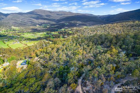 Property photo of 252 Lower Swamp Road Lachlan TAS 7140