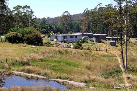 Property photo of 27261 Tasman Highway Goulds Country TAS 7216