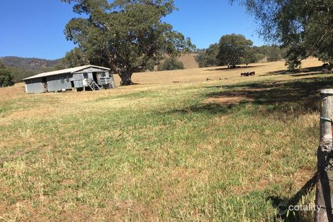 Property photo of 870 Stewarts Brook Road Woolooma NSW 2337