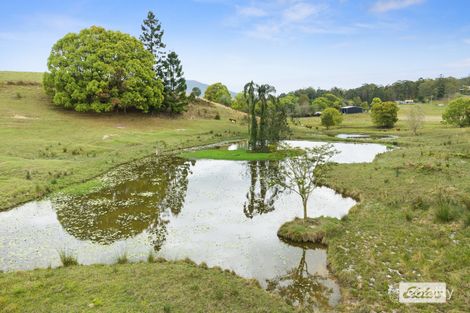 Property photo of 83 Minnows Road Fernvale NSW 2484