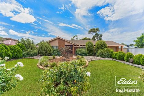 13 Fradd Rd, Angle Vale, SA 5117