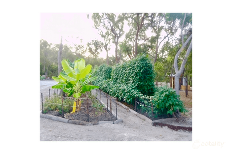 889 Murphy Rd, Captain Creek, QLD 4677