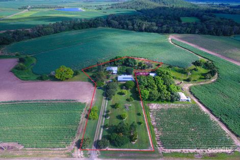 260 Pindi Pindi-Blackrock Creek Rd, Pindi Pindi, QLD 4798