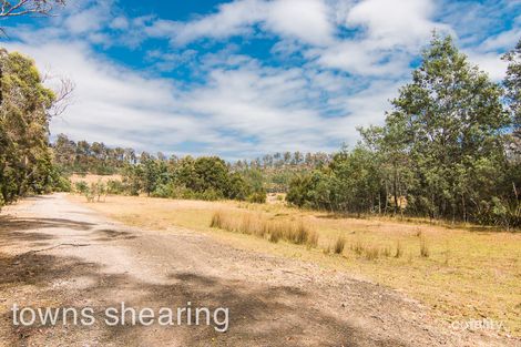 141 Maneys Rd, Bridgenorth, TAS 7277