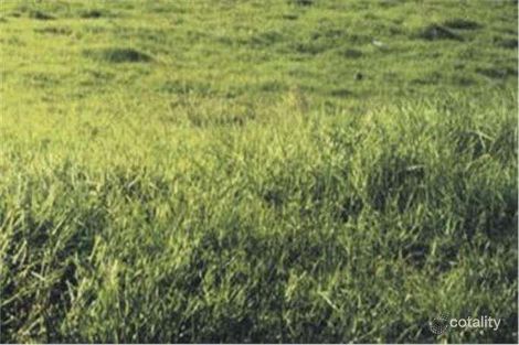 8 Regal Pl, Seaham, NSW 2324